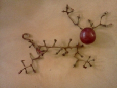 Food art: reindeer made with grape stems