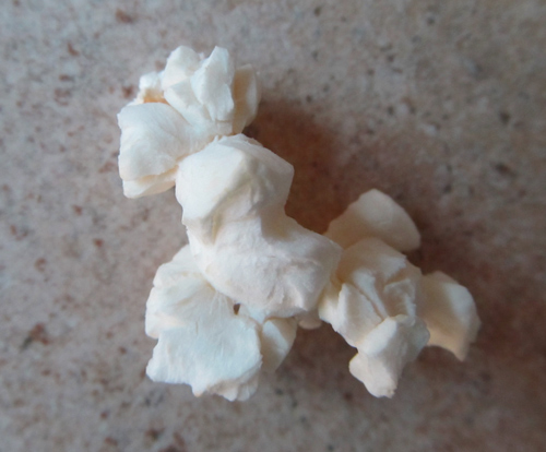 Popcorn art - seeing animal shapes in popcorn kernels