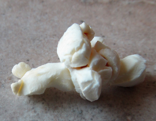 Popcorn art - finding shapes in popcorn