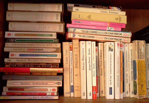 WordPress weekly photo challenge: Culture - Books in French