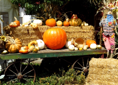 Fall decorations at the pumpkin patch