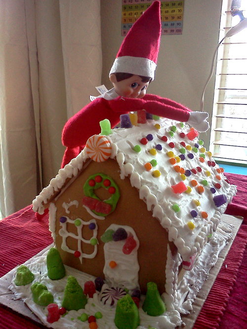 Wink checks out our gingerbread house