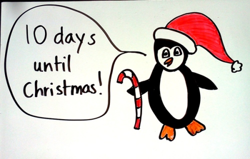 Penguin counts down to Christmas