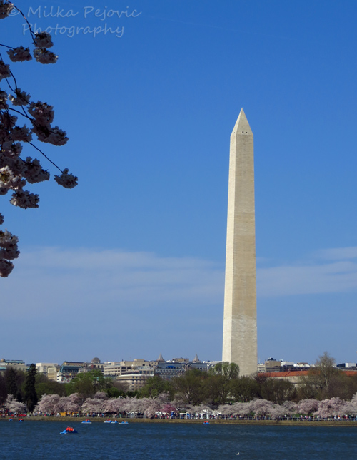 Washington monument in Washington DC