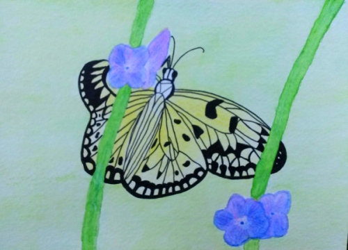 Paper kite butterfly in watercolor pencils and black liner