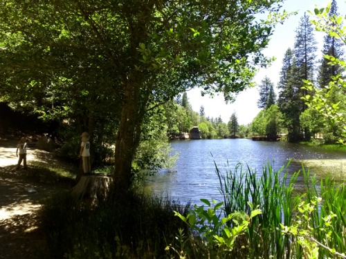 Pond and trees by Idyllwild California