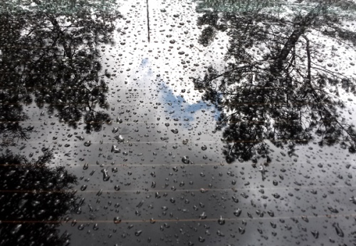 Raindrops on car windshield